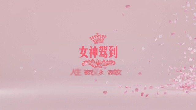 唯美粉色花瓣妇女节祝福开场0预览图