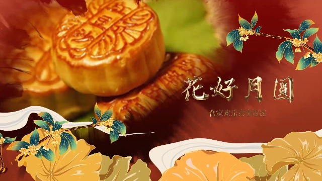 中秋佳节节日祝福视频2预览图