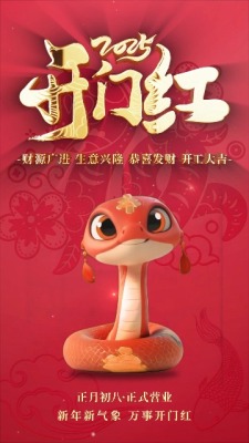 简约红色2025蛇年开门大吉视频0预览图
