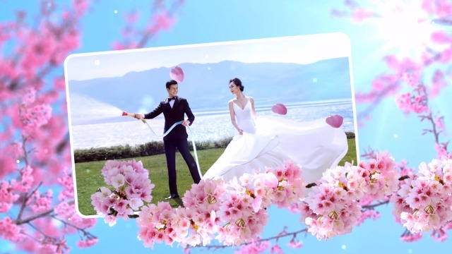 鲜花环绕婚礼模板3预览图