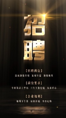 黑金大气企业招聘宣传视频0预览图