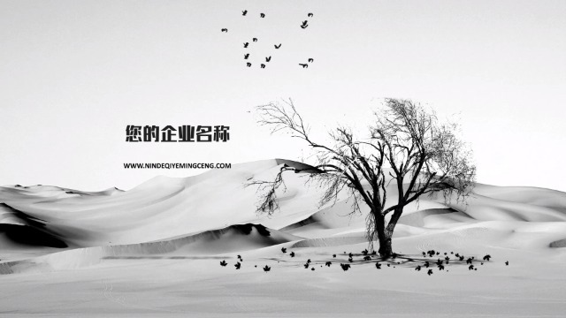 鸟群与枯树，有意境的复古黑白开场动画0预览图