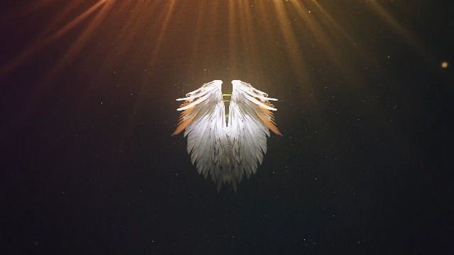 被神圣天使翅膀拥护着的logo0预览图