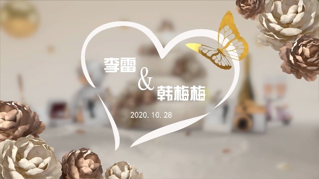 3D大气浪漫婚礼视频0预览图