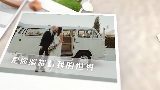 3D大气浪漫婚礼视频1预览图