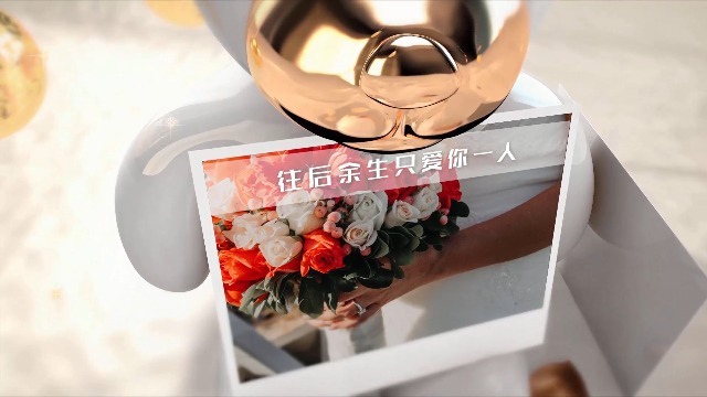 3D大气浪漫婚礼视频3预览图