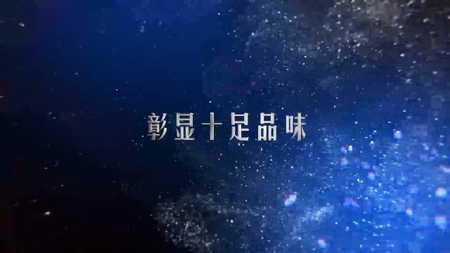 优雅蓝色梦幻粒子品牌店铺门店企业宣传3预览图