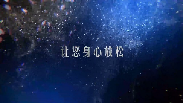 优雅蓝色梦幻粒子品牌店铺门店企业宣传4预览图