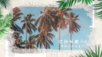 在热带棕榈叶装饰中涂抹出现的假期照片4缩略图