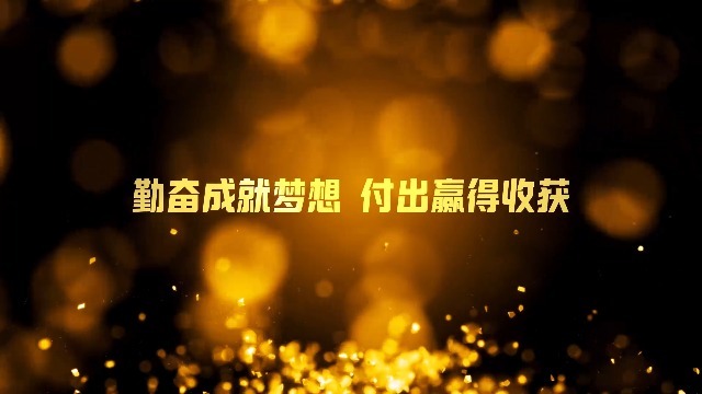 华丽黄金色粒子企业宣传正能量视频0预览图