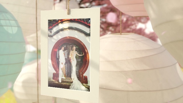 唯美樱花雨中的悬挂灯笼婚礼相册2预览图