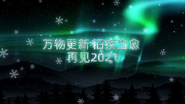 雪花中炫美的北极光告别2021迎接20220预览图