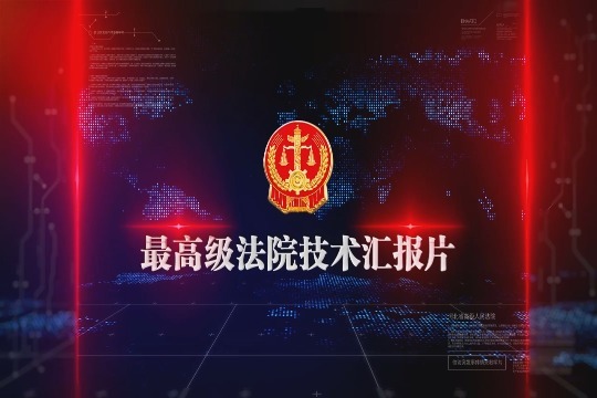 人民法院3预览图