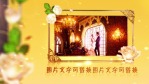 华丽婚礼7缩略图