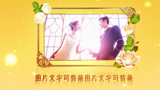 华丽婚礼2预览图