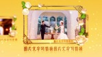 华丽婚礼5缩略图