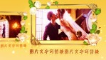 华丽婚礼8缩略图