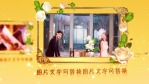 华丽婚礼9缩略图