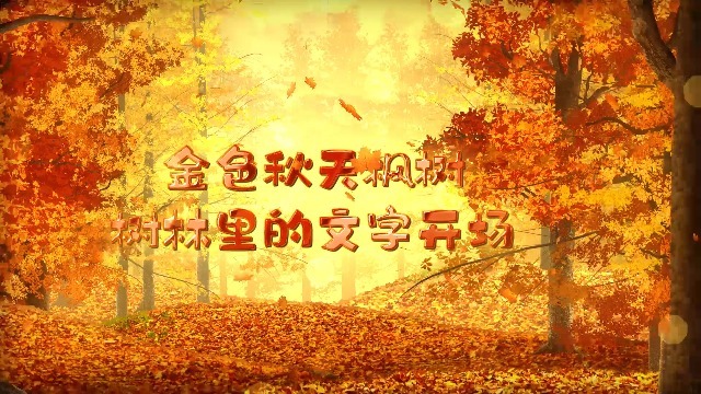 金色秋天枫树树林里的文字开场0预览图