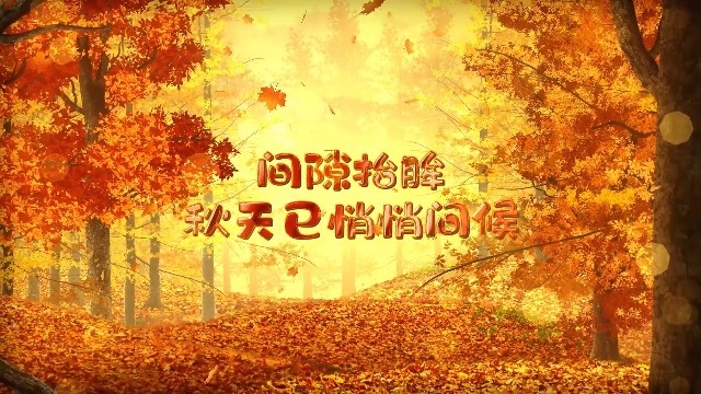 金色秋天枫树树林里的文字开场2预览图
