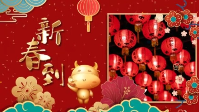 红金牛年祝福新年春节拜年视频0预览图