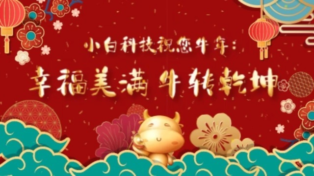 红金牛年祝福新年春节拜年视频5预览图