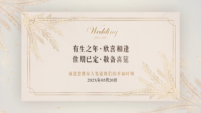 ins风优雅简约婚礼邀请函视频1预览图