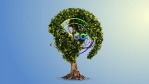 创意三维地球之树logo展示1缩略图