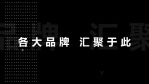 双11快闪促销热卖优惠展示15缩略图