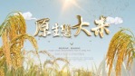 农民丰收节水稻大米1缩略图